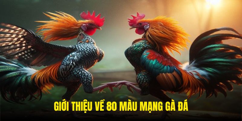 Giới thiệu về 80 màu mạng gà đá