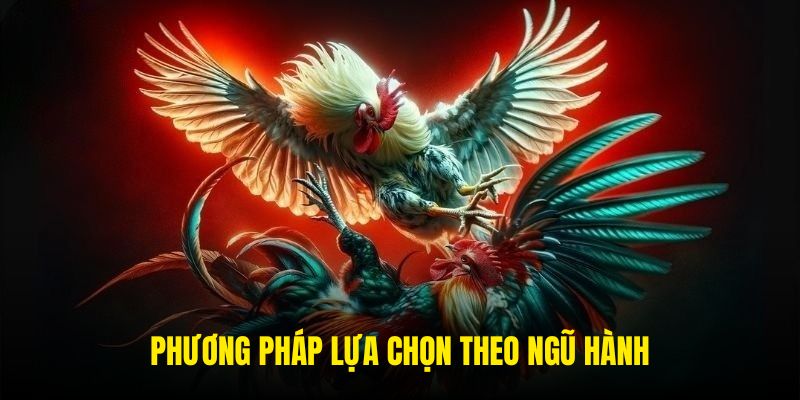 Phương pháp lựa chọn theo ngũ hành
