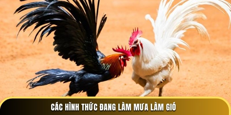 Các hình thức đang làm mưa làm gió