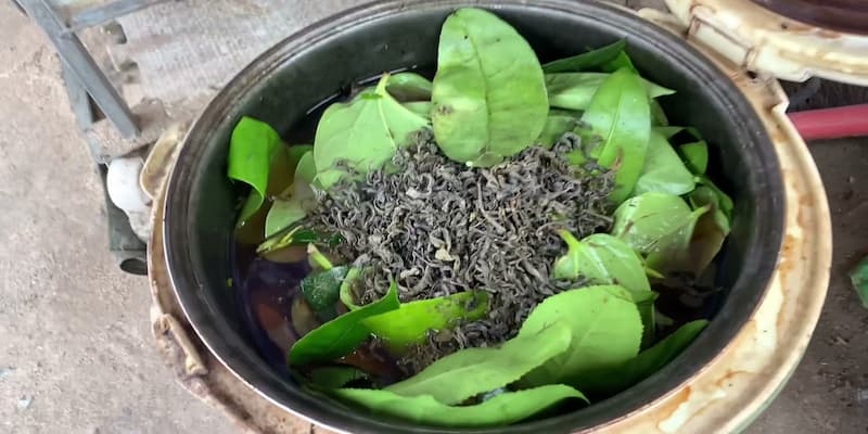 Điểm danh các dược liệu xoa bóp cho chiến kê