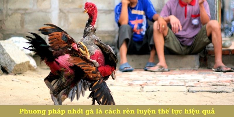 Phương pháp nhồi gà là một trong những cách rèn luyện thể lực hiệu quả