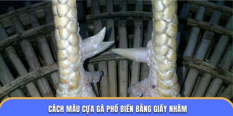 Cách màu cựa gà phổ biến bằng giấy nhám
