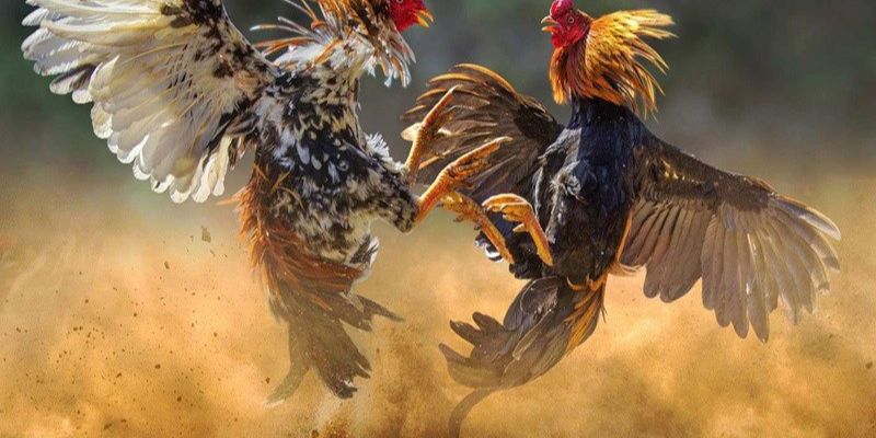 Vận động thường xuyên