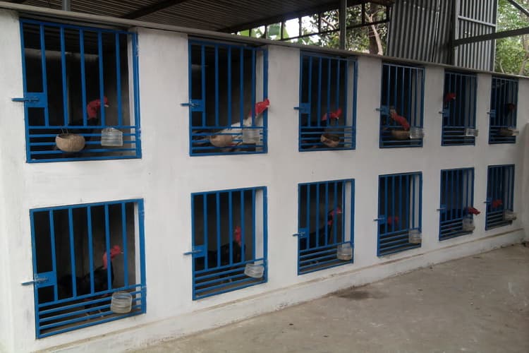 Rèn luyện tích cực