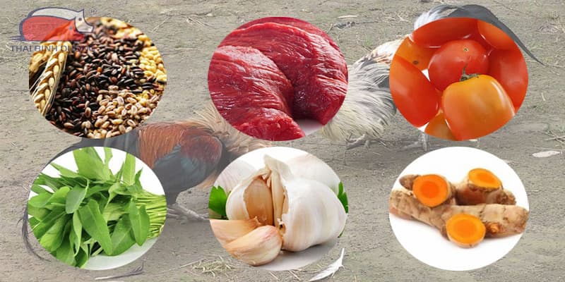 Thực đơn và khẩu phần cho gà đá