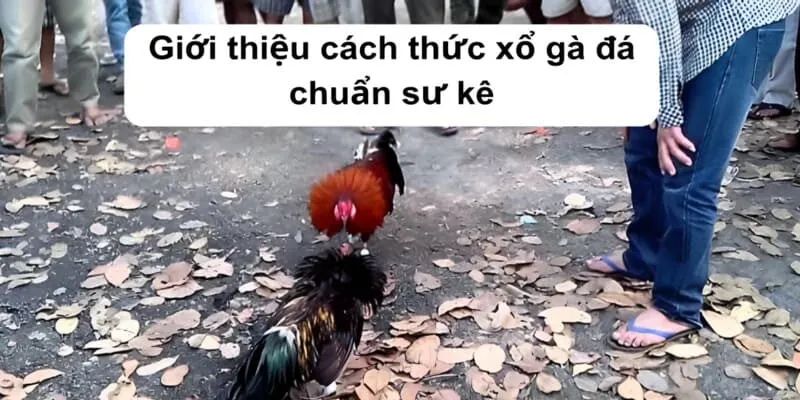 Ý nghĩa của phương pháp