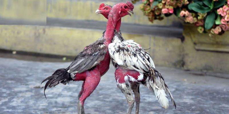 Chú ý các vấn đề quan trọng