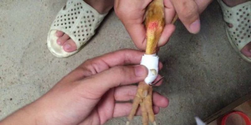 Một số lỗi phổ biến và cách xử lý khi mài cựa