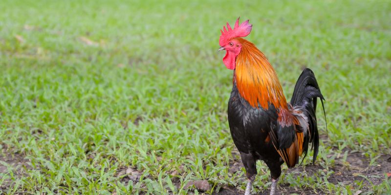 Chọn lựa các cổng game đảm bảo sự an toàn khi tham gia.