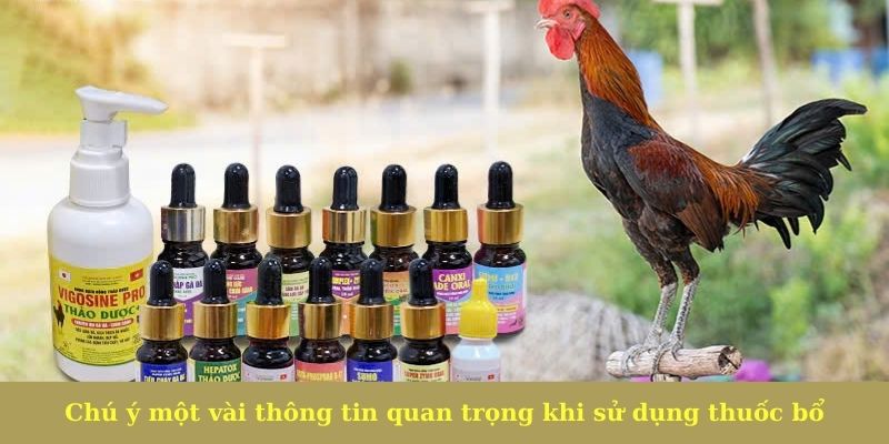 Chú ý một vài thông tin quan trọng khi sử dụng thuốc bổ
