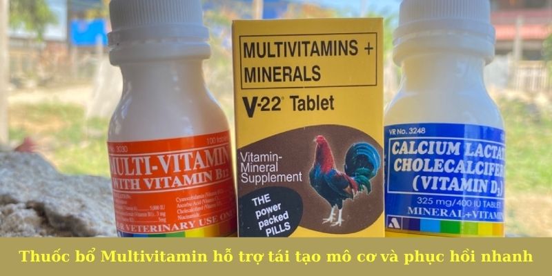Thuốc bổ Multivitamin hỗ trợ tái tạo mô cơ và phục hồi nhanh