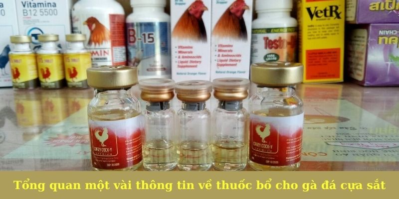 Tổng quan một vài thông tin về thuốc bổ cho gà đá cựa sắt